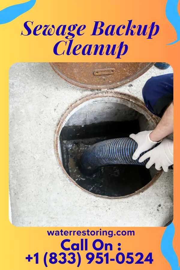 Sewage Backup Cleanup in Blaine, MN
